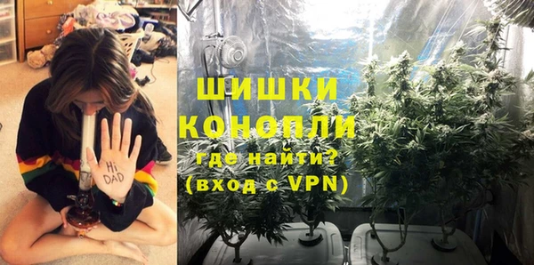 бошки Алзамай