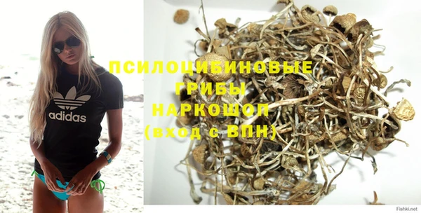 бошки Алзамай