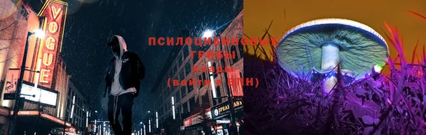 спиды Алексин