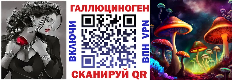 darknet телеграм  Олонец  Псилоцибиновые грибы мицелий 