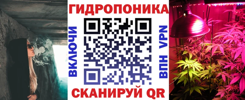 Каннабис конопля  Олонец 